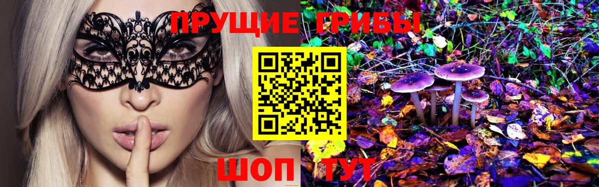 APVP Карталы