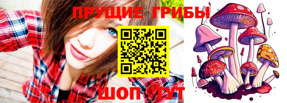 Карталы  Псилоцибиновые грибы Psilocybine cubensis  Вход с VPN 