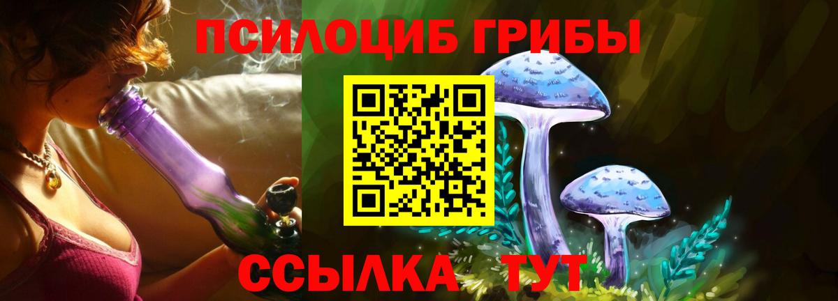 Галлюциногенные грибы Cubensis Карталы